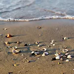 Appartamento With Pool In 53918 *