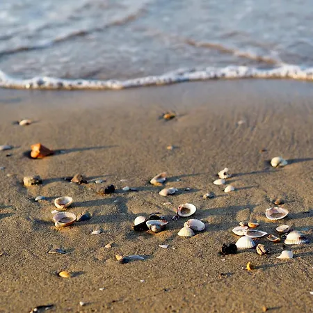 Apartment With Pool In 53918 *